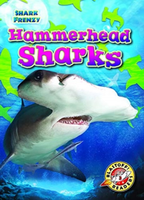 Hammerhead Sharks - Rebecca Pettiford