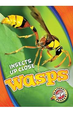 Coperta cărții 'Wasps - Patrick Perish'