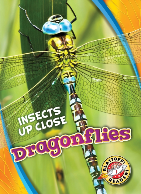 Dragonflies - Patrick Perish