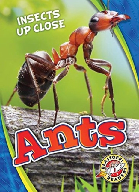 Ants - Patrick Perish