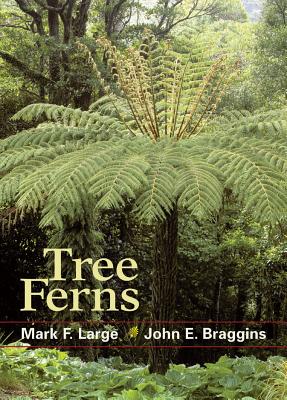 Tree Ferns - Mark F. Large