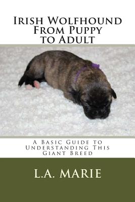 Irish Wolfhound From Puppy to Adult: A Basic Guide to Understanding This Giant Breed - L. A. Marie