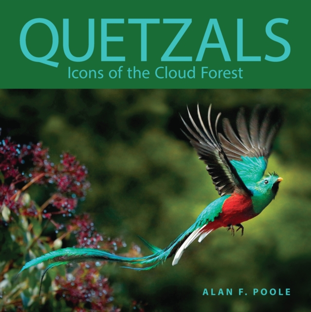 Quetzals: Icons of the Cloud Forest - Alan F. Poole