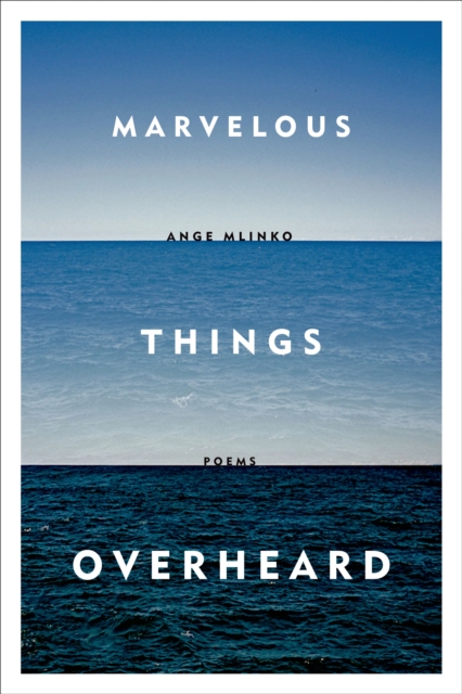 Marvelous Things Overheard - Ange Mlinko