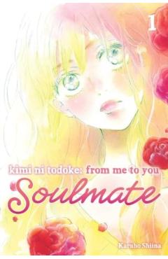 Kimi Ni Todoke: From Me to You: Soulmate, Vol. 1 - Karuho Shiina