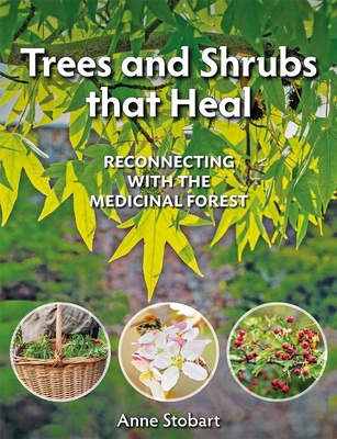 Trees and Shrubs That Heal: Reconnecting with the Medicinal Forest - Anne Stobart