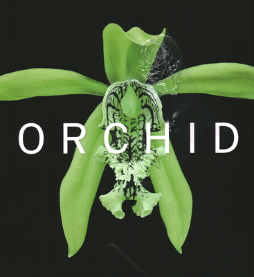 Orchid: Marie Selby Botanical Gardens - David A. Berry