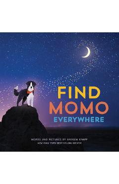Coperta cărții 'Find Momo Everywhere - Andrew Knapp'