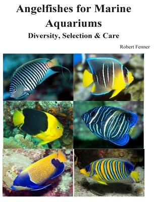 Coperta cărții 'Angelfishes for Marine Aquariums: Diversity, Selection & Care - Robert Fenner'