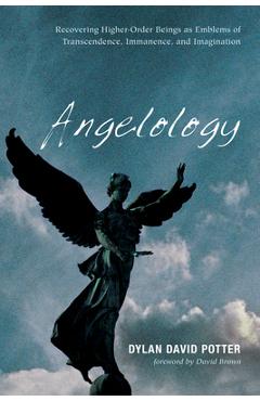 Coperta cărții 'Angelology - Dylan David Potter'