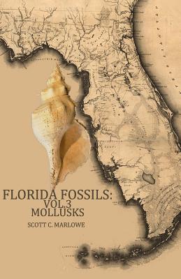 Florida Fossils: Mollusks - Scott C. Marlowe