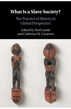 Poza produsului What Is a Slave Society?: The Practice of Slavery in Global Perspective - Noel Lenski