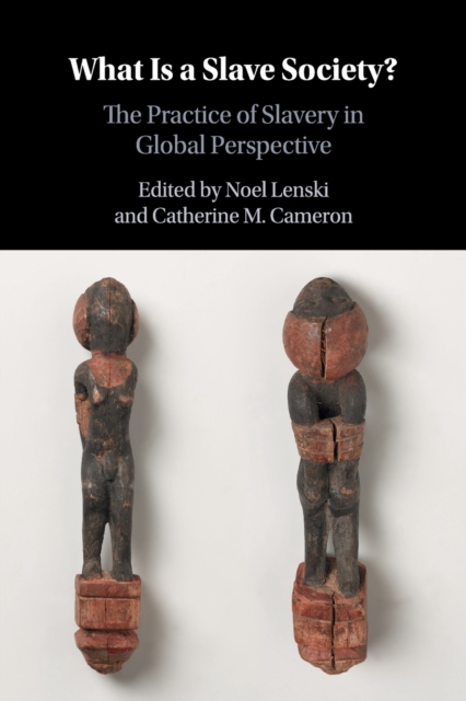 What Is a Slave Society?: The Practice of Slavery in Global Perspective - Noel Lenski