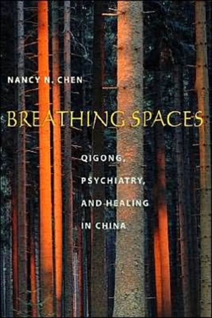 Breathing Spaces: Qigong, Psychiatry, and Healing in China - Nancy Chen