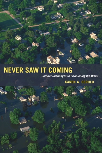 Never Saw It Coming: Cultural Challenges to Envisioning the Worst - Karen A. Cerulo