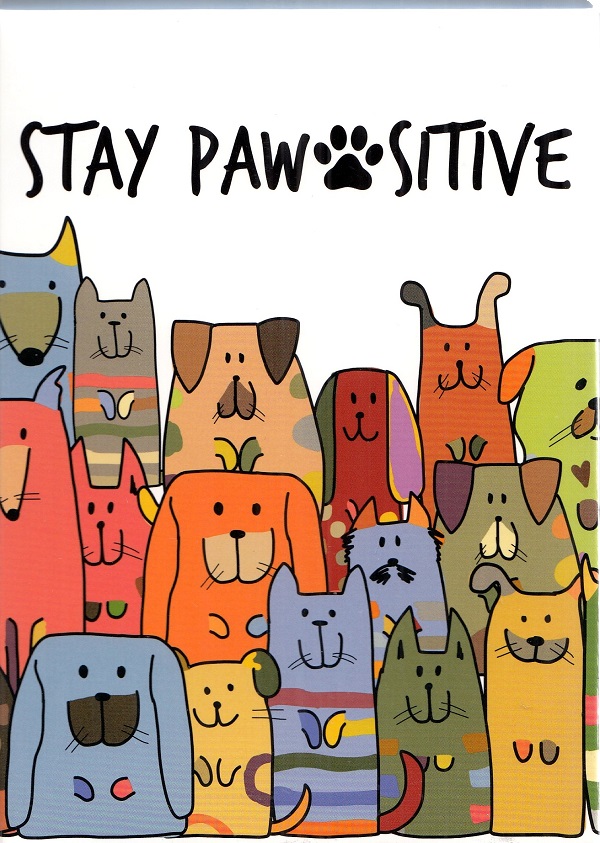 Pusculita: Stay Pawsitive