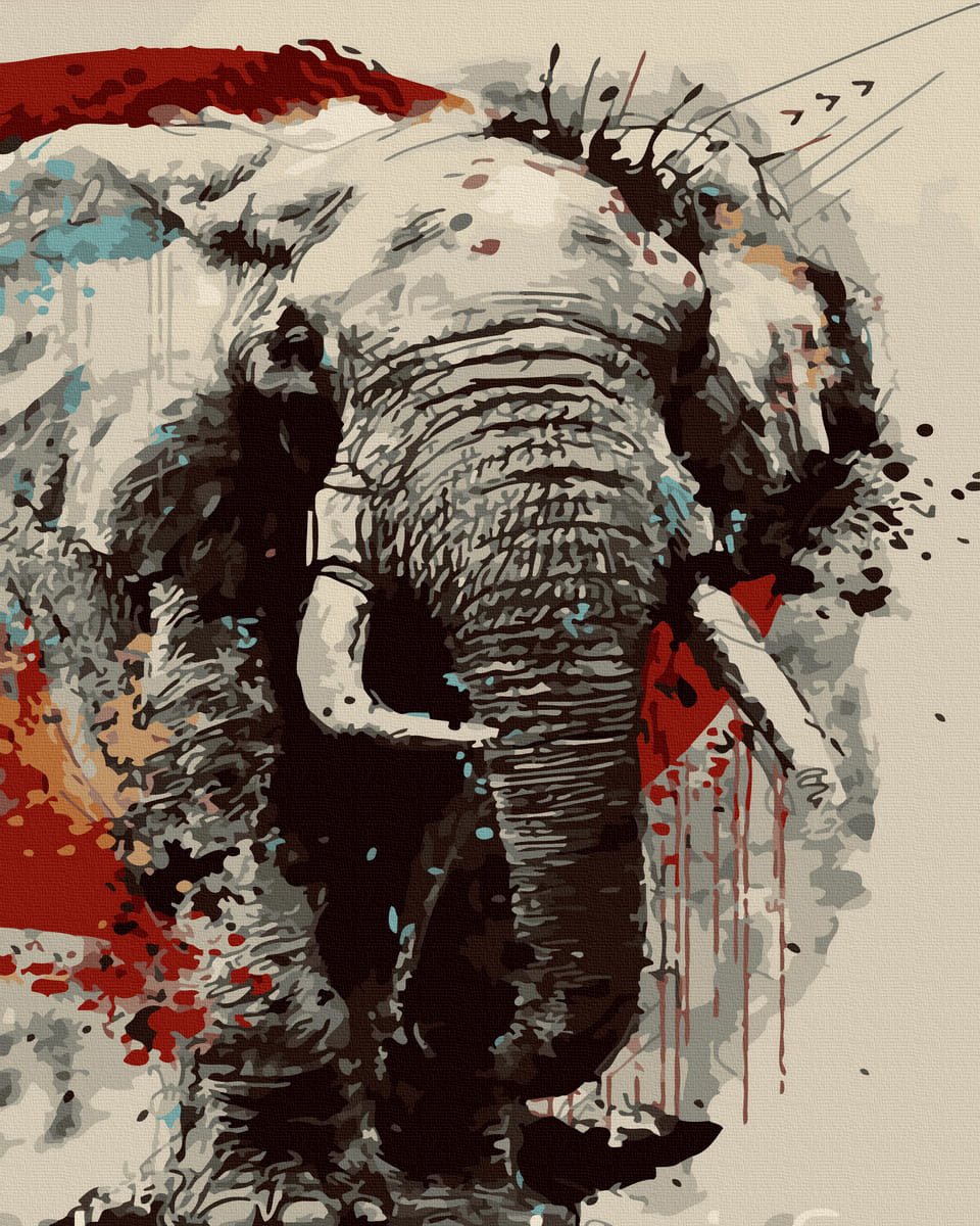 Pictura pe numere: Elefant India