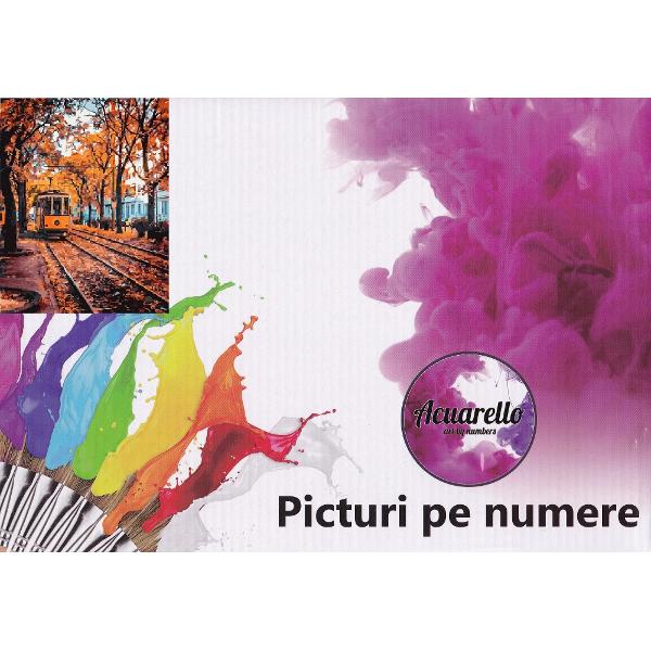 Pictura pe numere: Toamna in Bucuresti