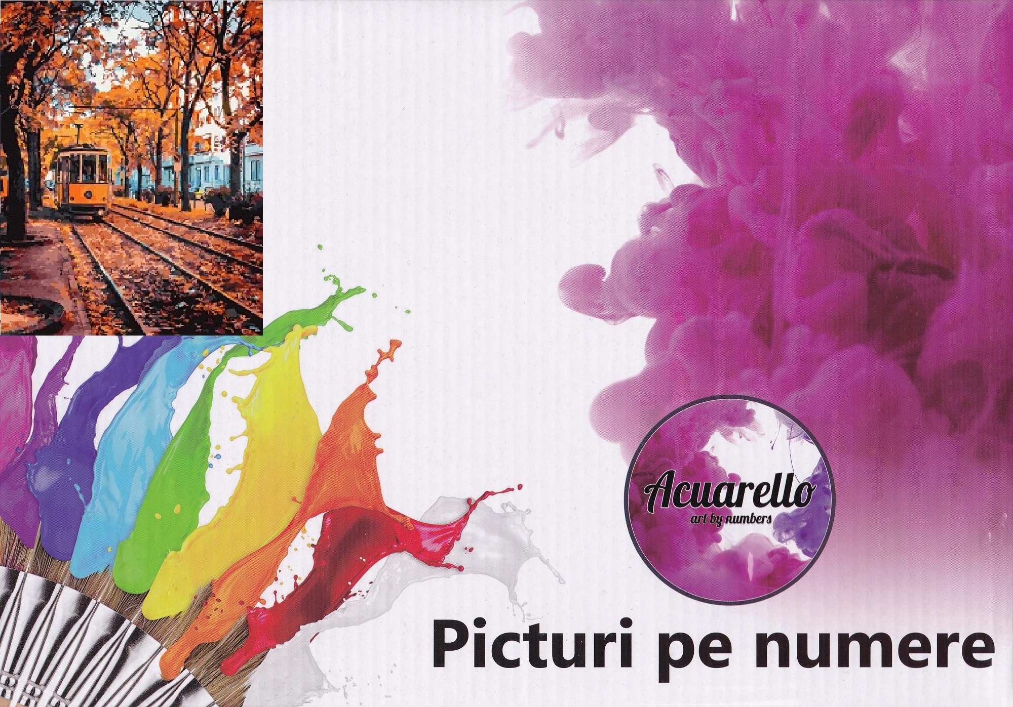 Pictura pe numere: Toamna in Bucuresti