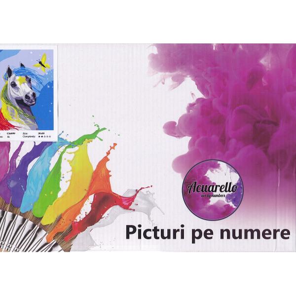Pictura pe numere: Calul colorat