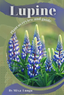 Lupine: Plant overview and guide - Mixa Lungu