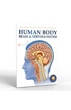 Coperta cărții 'Human Body: Brain and Nervous System - Wonder House Books'