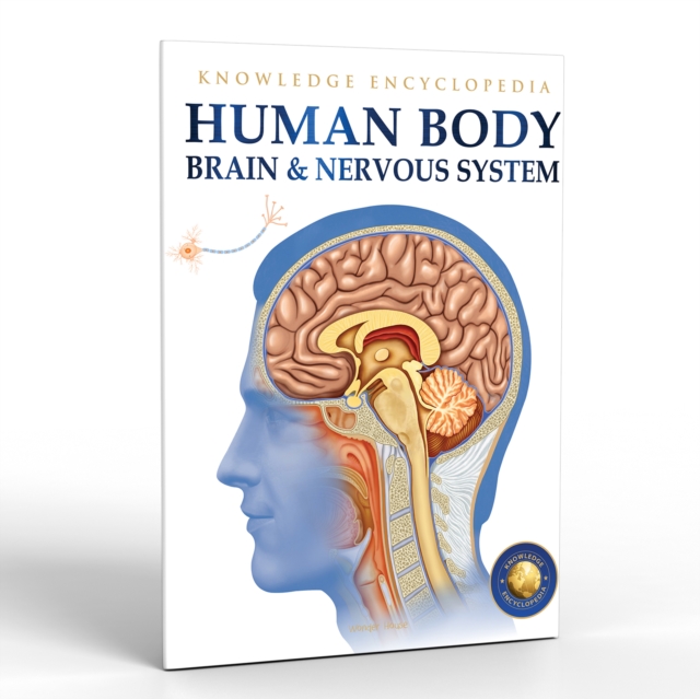 Coperta cărții 'Human Body: Brain and Nervous System - Wonder House Books'