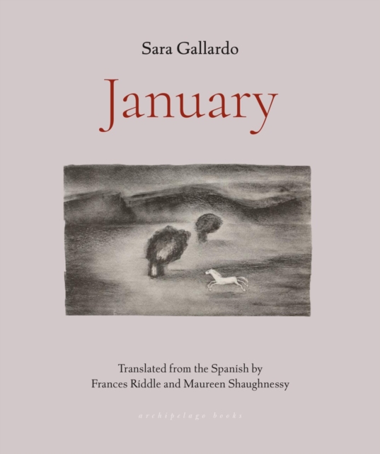 January - Sara Gallardo