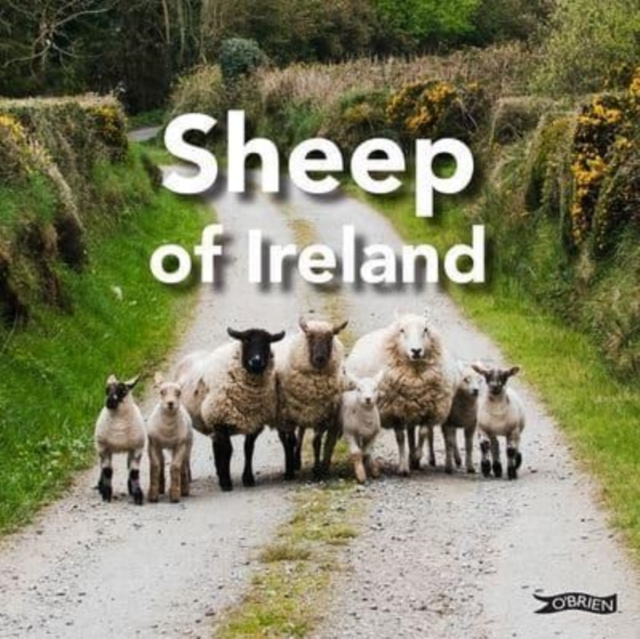 Sheep of Ireland - The O'brien Press