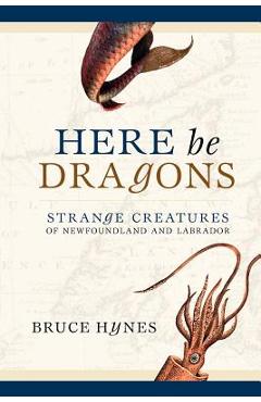 Coperta cărții 'Here Be Dragons - Bruce Hynes'