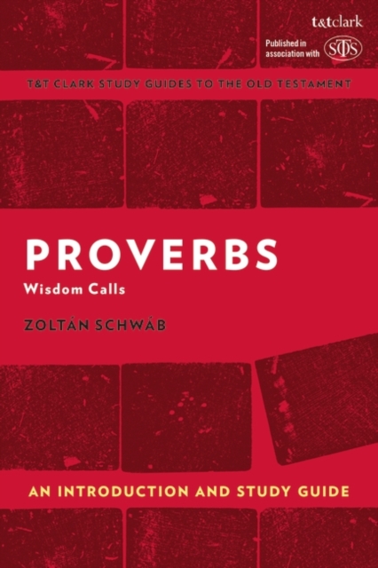 Proverbs: An Introduction and Study Guide: Wisdom Calls - Zoltn Schwb