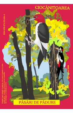 Poza produsului Planse: Pasari din fauna Romaniei care traiesc in padure