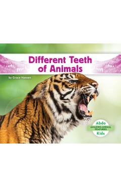 Coperta cărții 'Different Teeth of Animals - Grace Hansen'