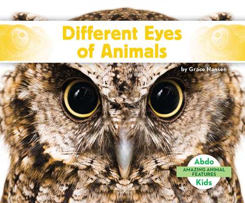 Different Eyes of Animals - Grace Hansen