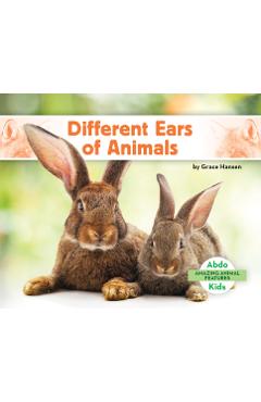 Coperta cărții 'Different Ears of Animals - Grace Hansen'