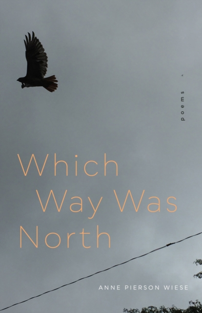 Which Way Was North: Poems - Anne Pierson Wiese
