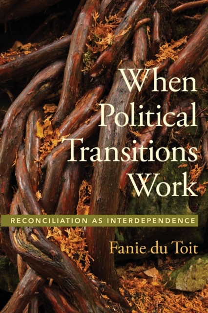 When Political Transitions Work: Reconciliation as Interdependence - Fanie Du Toit