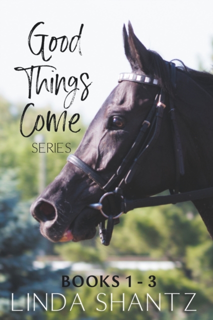 The Good Things Come Series: Books 1-3 - Linda Shantz