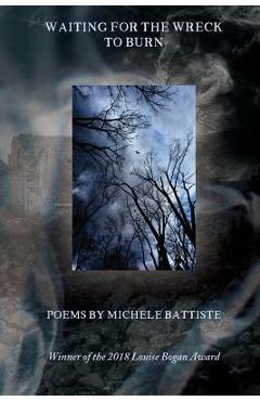 Coperta cărții 'Waiting for the Wreck to Burn - Michele Battiste'