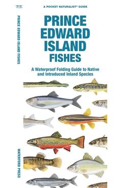 Poza produsului Prince Edward Island Fishes: A Waterproof Folding Guide to Native and Introduced Freshwater Species - Matthew Morris