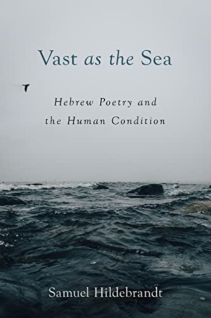 Vast as the Sea: Hebrew Poetry and the Human Condition - Samuel Hildebrandt