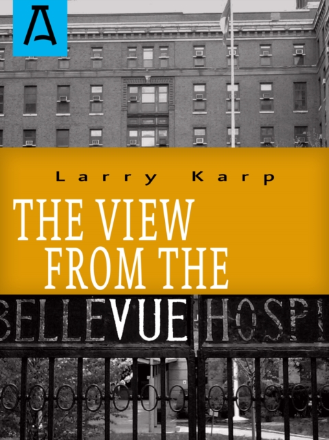 The View from the Vue - Larry Karp