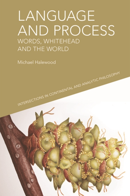 Language and Process: Words, Whitehead and the World - Michael Halewood