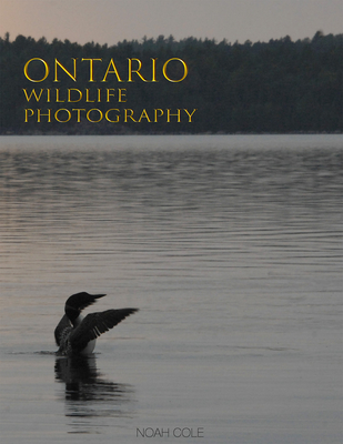 Ontario Wildlife Photography - Noah Cole