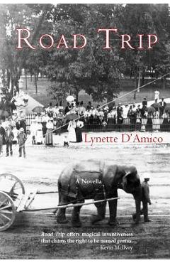 Coperta cărții 'Road Trip - Lynette D'amico'