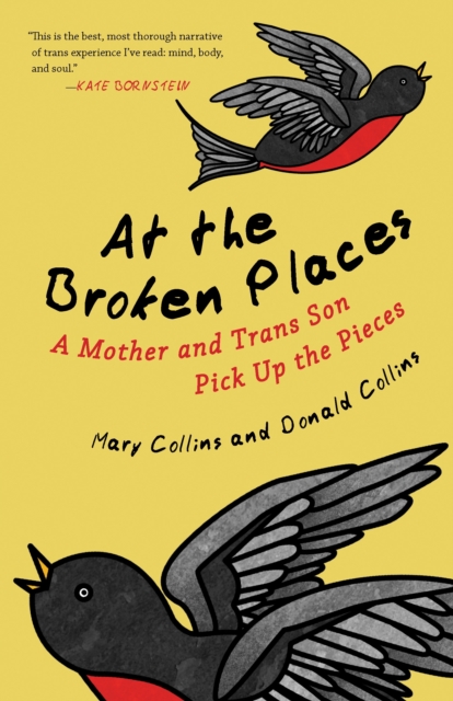 At the Broken Places: A Mother and Trans Son Pick Up the Pieces - Mary Collins