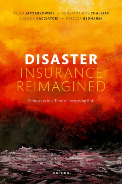 Disaster Insurance Reimagined: Protection in a Time of Increasing Risk - Paula Jarzabkowski