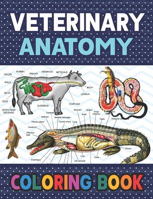 Veterinary Anatomy Coloring Book: Fun and Easy Veterinary Anatomy Coloring Book for Kids. Handbook of Veterinary Anesthesia. Dog Cat Horse Frog Bird A - Darkeylone Publication