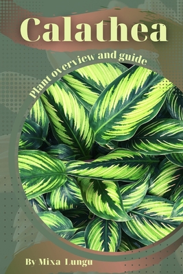 Calathea: Plant overview and guide - Mixa Lungu