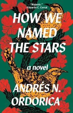Coperta cărții 'How We Named the Stars - Andrés N. Ordorica'
